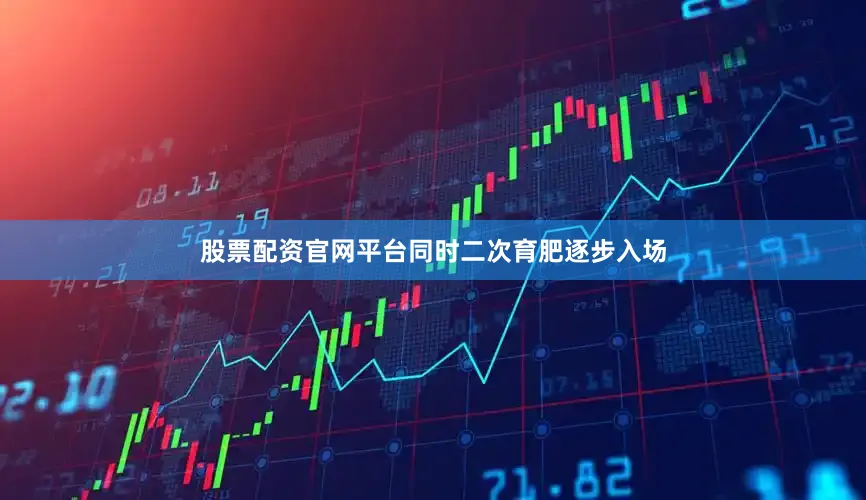 股票配资官网平台同时二次育肥逐步入场