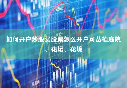 如何开户炒股买股票怎么开户可丛植庭院、花坛、花境