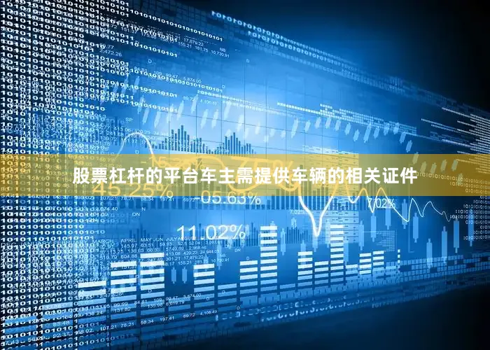 股票杠杆的平台车主需提供车辆的相关证件